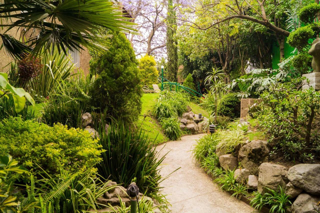 1-a Monasterio Garden House Welcome To San Angel Apartment *