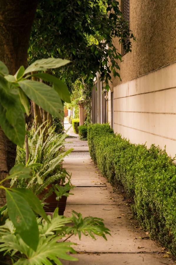 1-a Monasterio Garden House Welcome To San Angel Apartment *