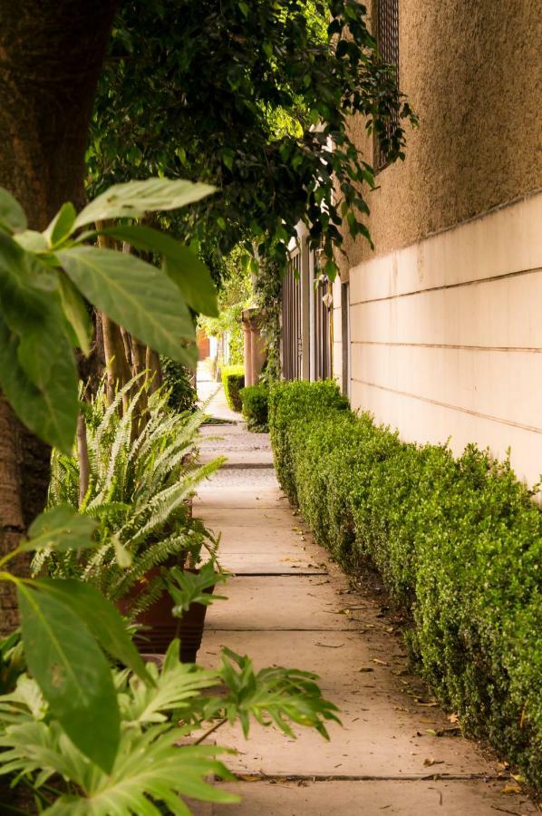 4a, Terraza, Garden House, Welcome To San Angel *