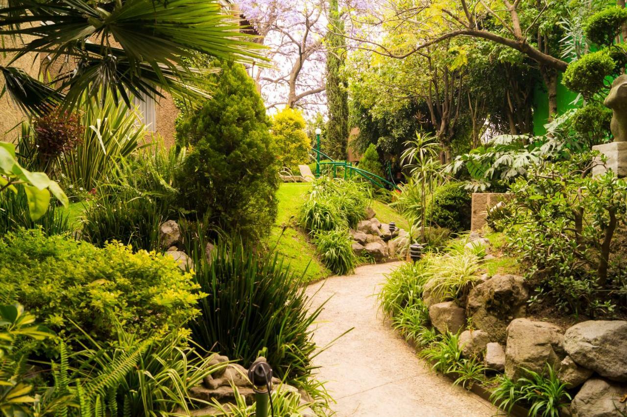 4a, Terraza, Garden House, Welcome To San Angel Apartamento *