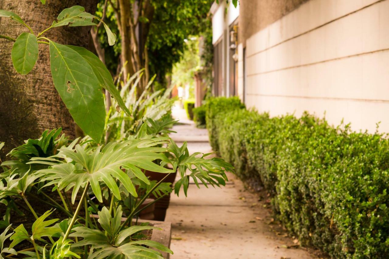 Apartment 5a, Altavista, Garden House, Welcome To San Angel Mexico City
