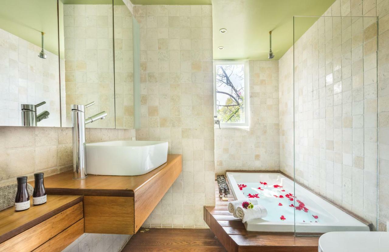 Apartment Loft Contemporaneo A 50m De La Plaza Principal De Coyoacan