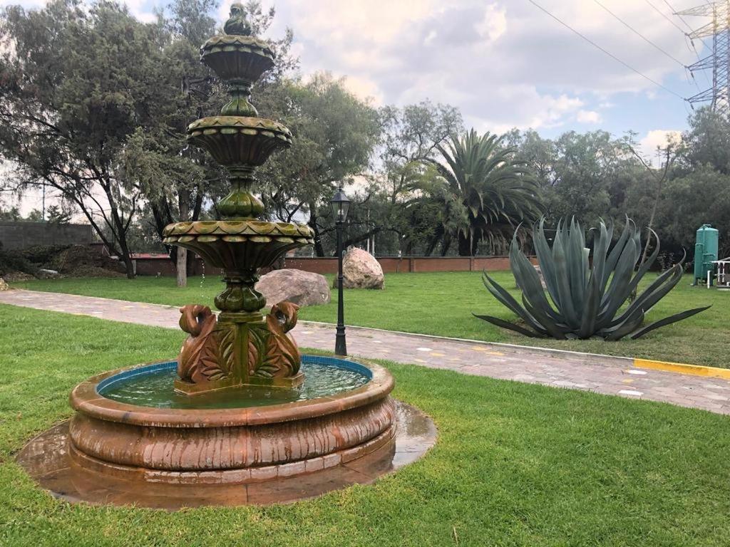 Oliver - Tlalnepantla 3*