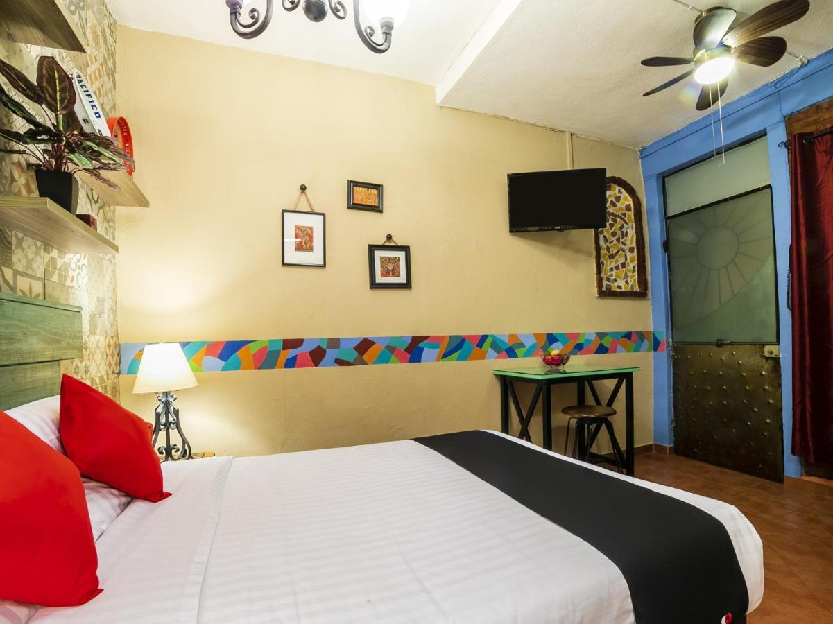Hotel Coyotito Beds San ángel, Suites Con Encanto!