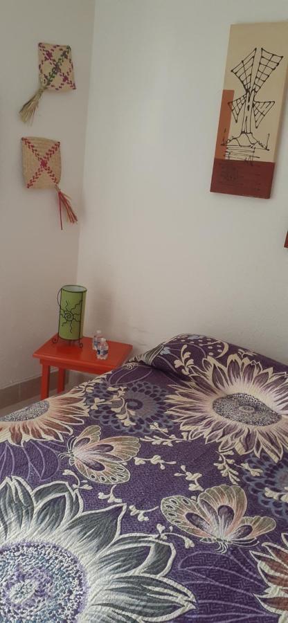 Colibri Bed & Breakfast Mexico City