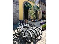 Mexiqui Zocalo Hostal