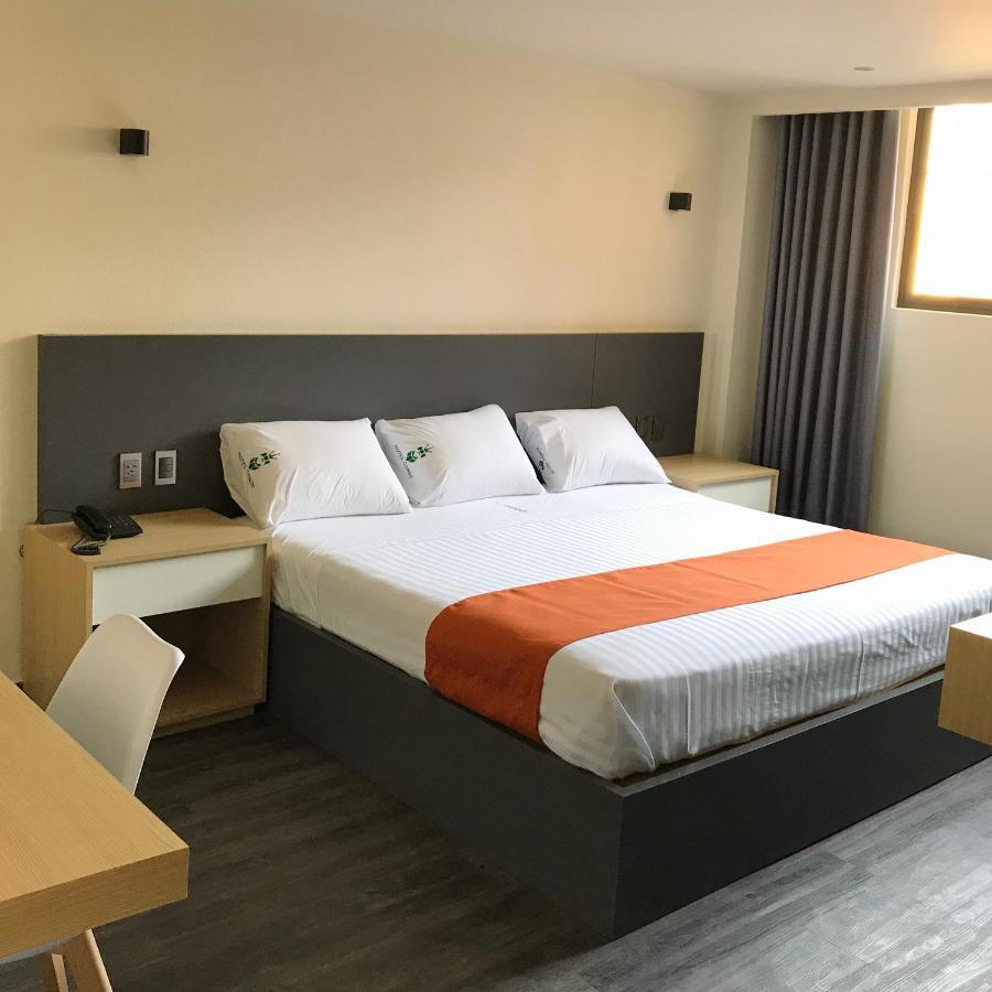 Conde Alameda Cdmx Hotel Mexico City