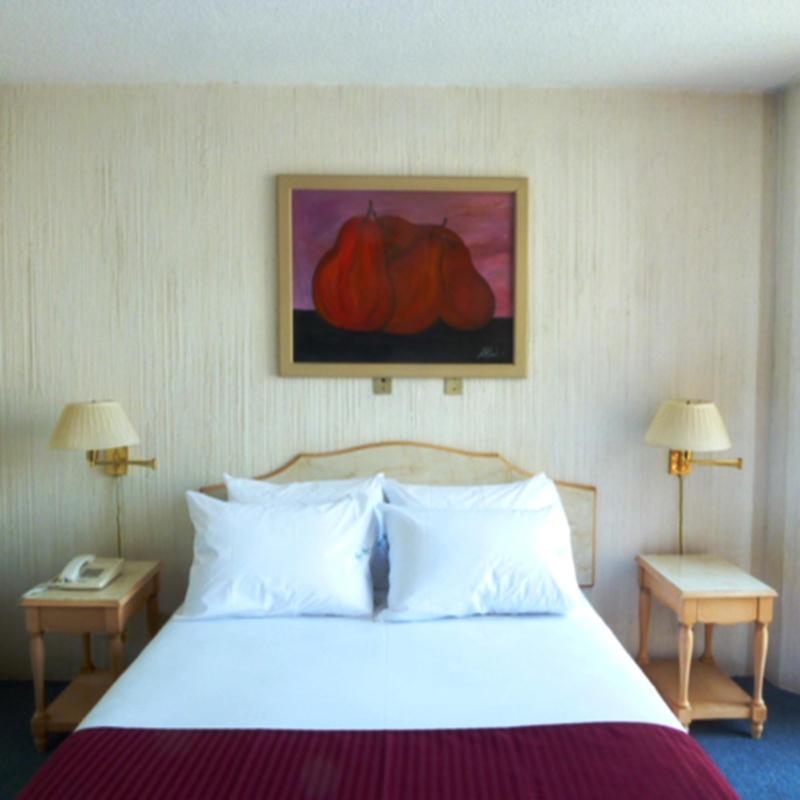 Hotel Residencia Rochester