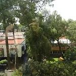 Vista Verde B&B Lomas de Chapultepec
