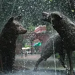 Casa Kalidy Coyoacan