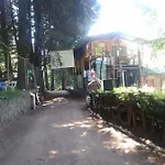 Dinamos Mx - Paidos