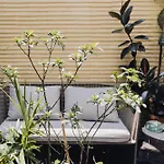 Casa Pani