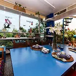 Casa ITZAE B&B- Lincoln Park
