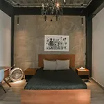 Beautiful And Elegant Private Loft Near Coyoacan
