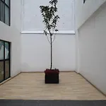 Apartment Bucareli 136