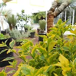 Hotel Dharma