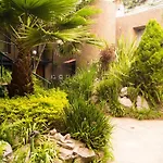 Suite 4A, Terraza, Garden House, Welcome to San Angel