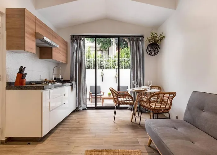 Loft Con Patio, Roof Garden En La Roma