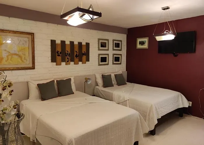 Suites Viveros De Coyoacan, Estilo Y Comfort