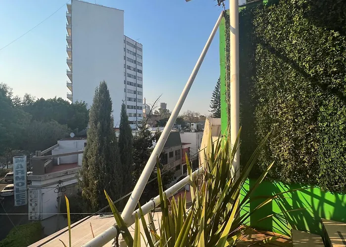 Mexico City Guesthouse