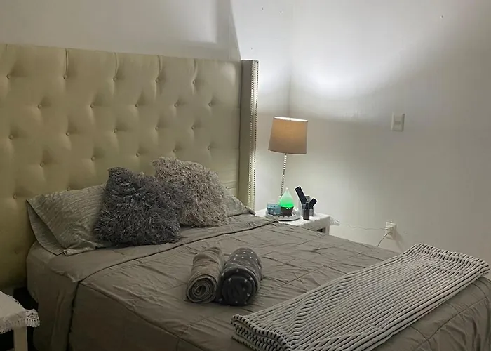 Loft Coyoacan