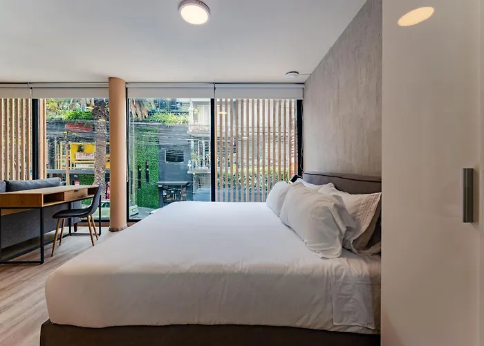 Condesa Cholula Lofts By Vh