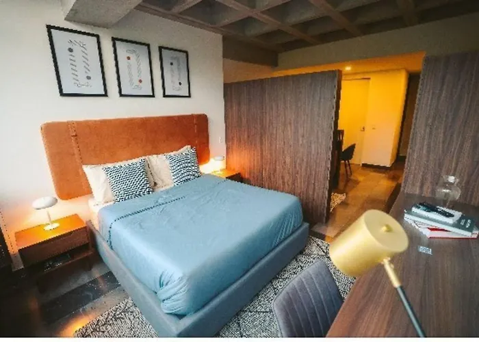 Loft De Lujo En El Corazon De La Roma Norte