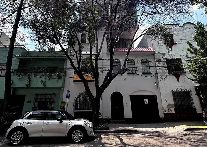 Hermoso & Acogedor En Condesa