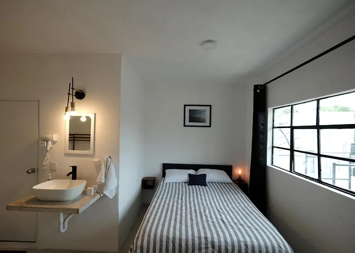 Loft Coyoacan Micaela