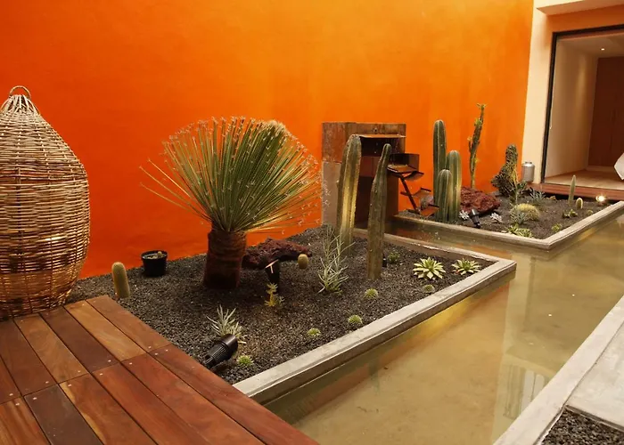 Coyoacán - Inn (Fine Guesthouse)