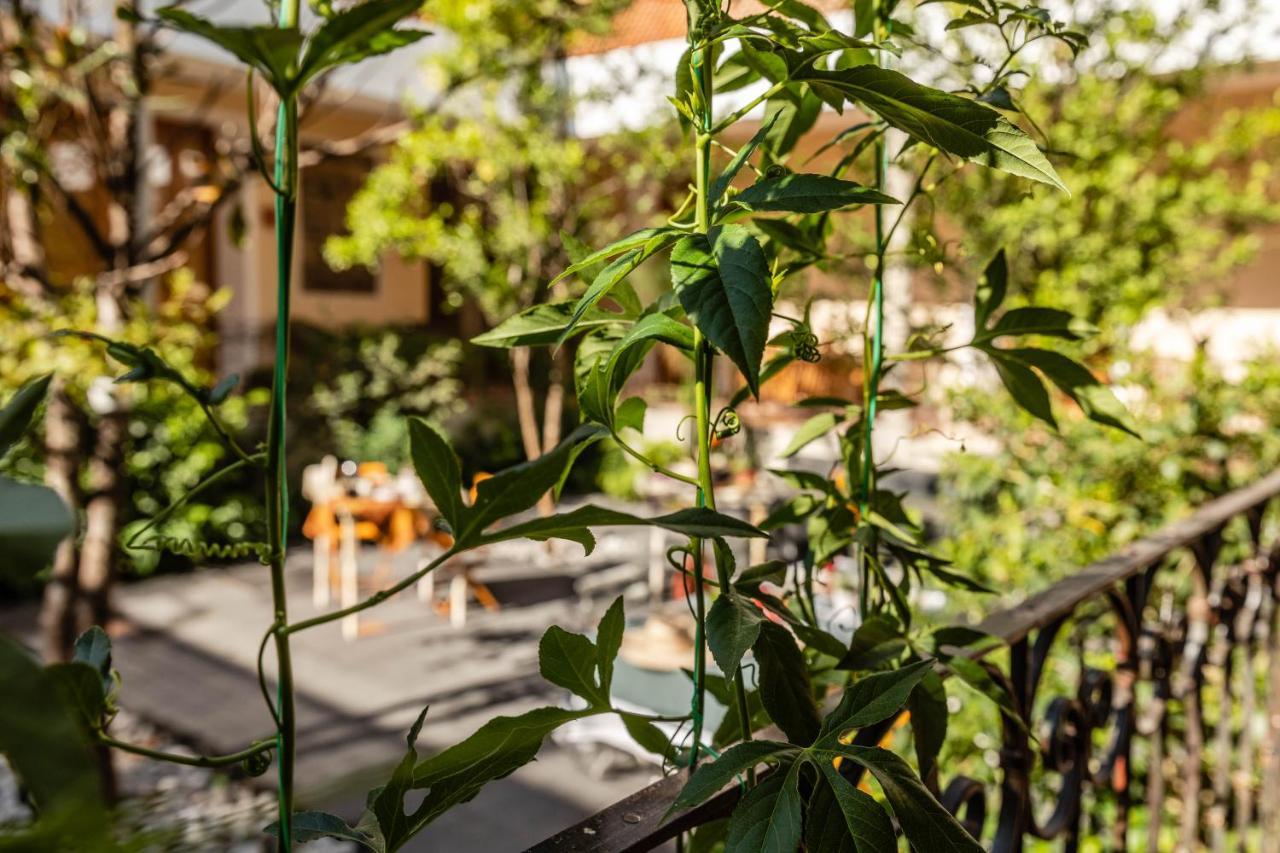 Casa Tuna Acomodação com café da manhã 