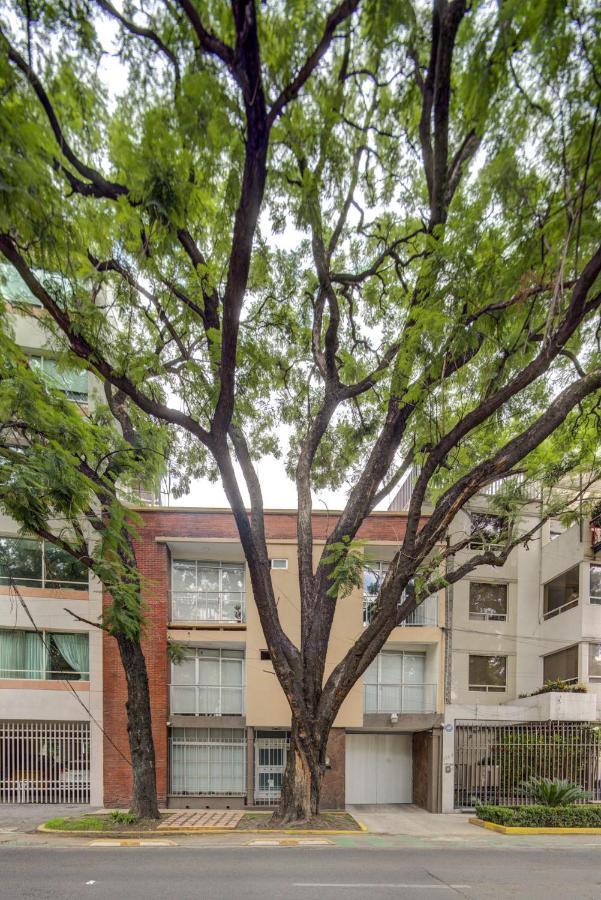 Grupo Kings - Horacio 1525 México DF