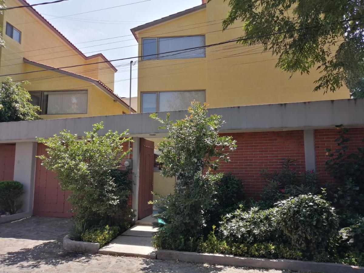 Casa - Martha