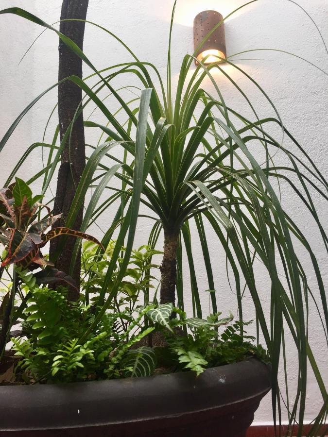 Trojes Cdmx Bed and breakfast *