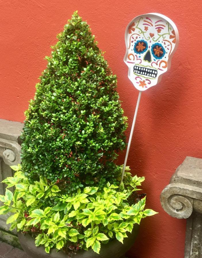 Bed and breakfast Trojes Cdmx México DF