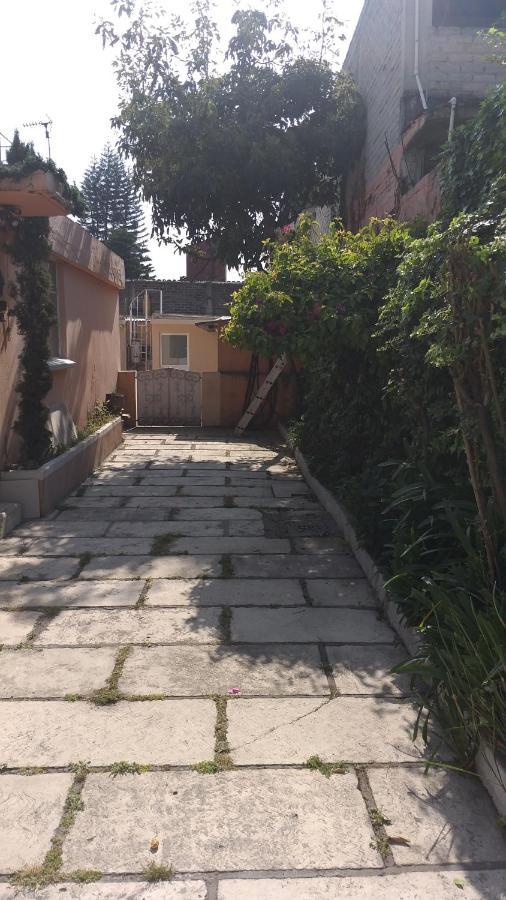 Maktub Only Girls & Breakfast Exclusivo Para Damas Pet Friendly Cidade do México