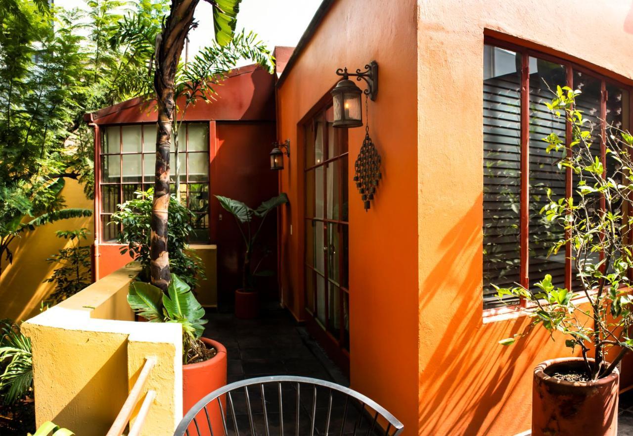 The Red Tree House *