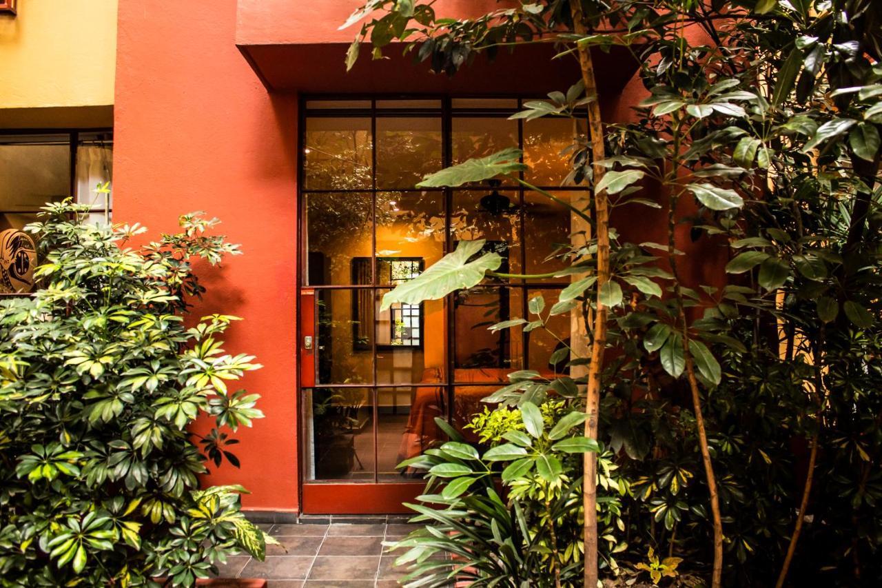 The Red Tree House * Cidade do México