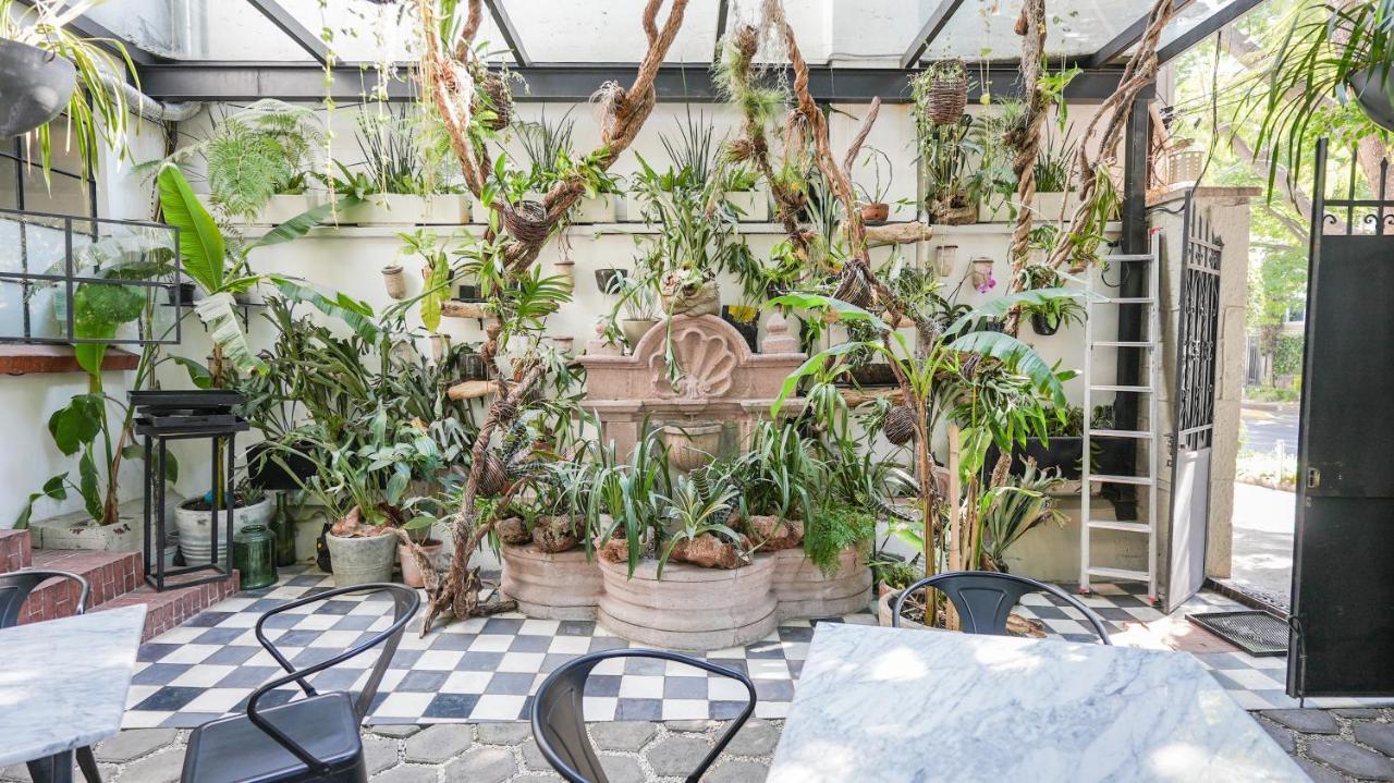 Hotel Orchid House Polanco Mexico City