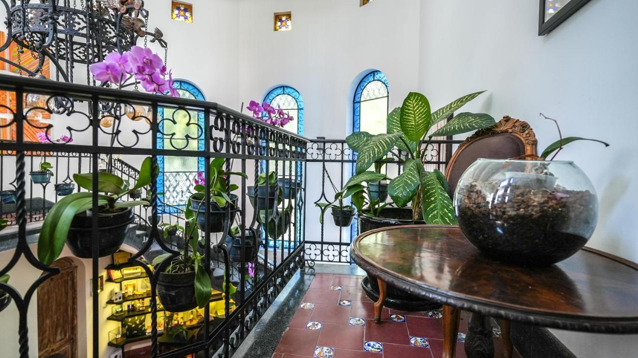 Orchid House Polanco Mexico City