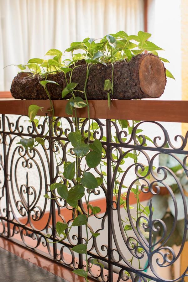 Bed and breakfast Casa Ayvar 3*
