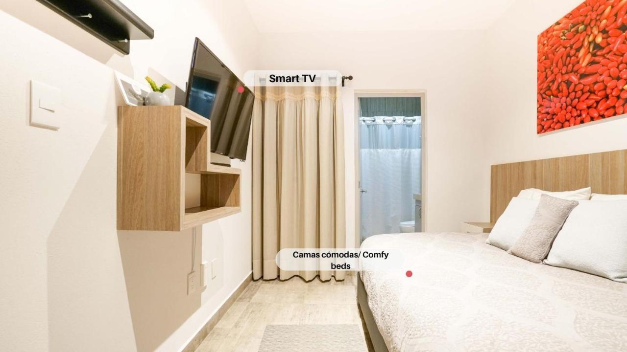 Casa Carmelia - 4 - Diego * Mexico City