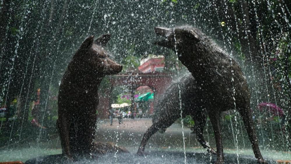 Casa Kalidy Coyoacan Apartment Mexico City