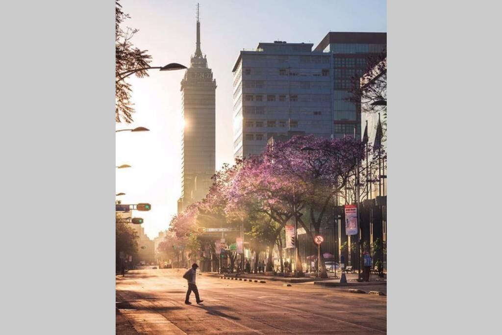 Lavish & Vibrant Apt. Bellas Artes Palace And Park View Apartamento
