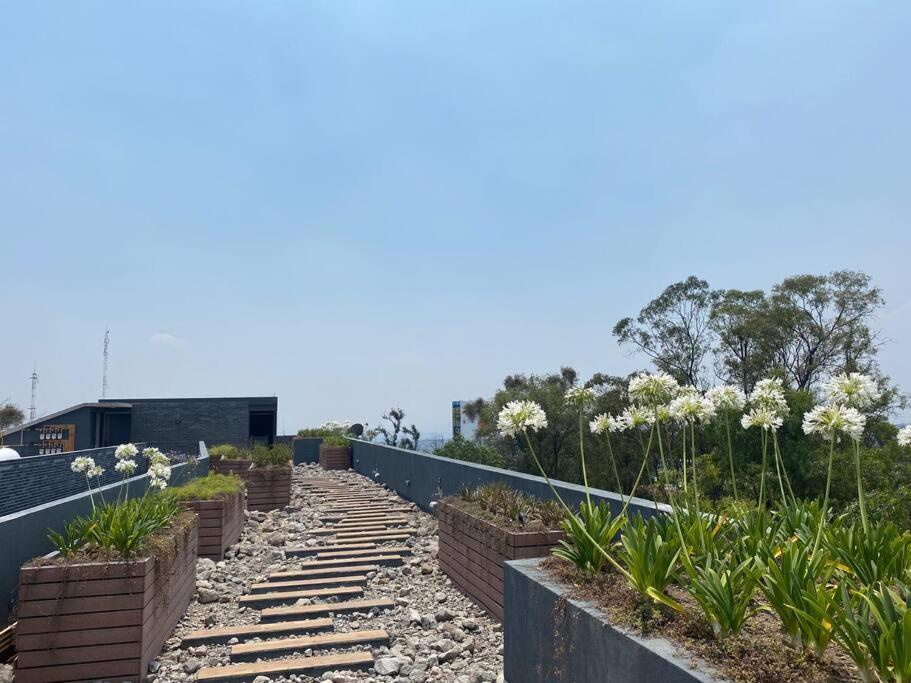 Apartamento Nuevo Y Ubicado Departamento Zona Santafe Cidade do México