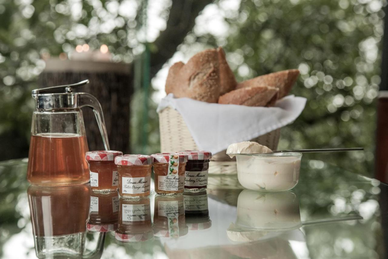 Organico Hotel Boutique Hotel