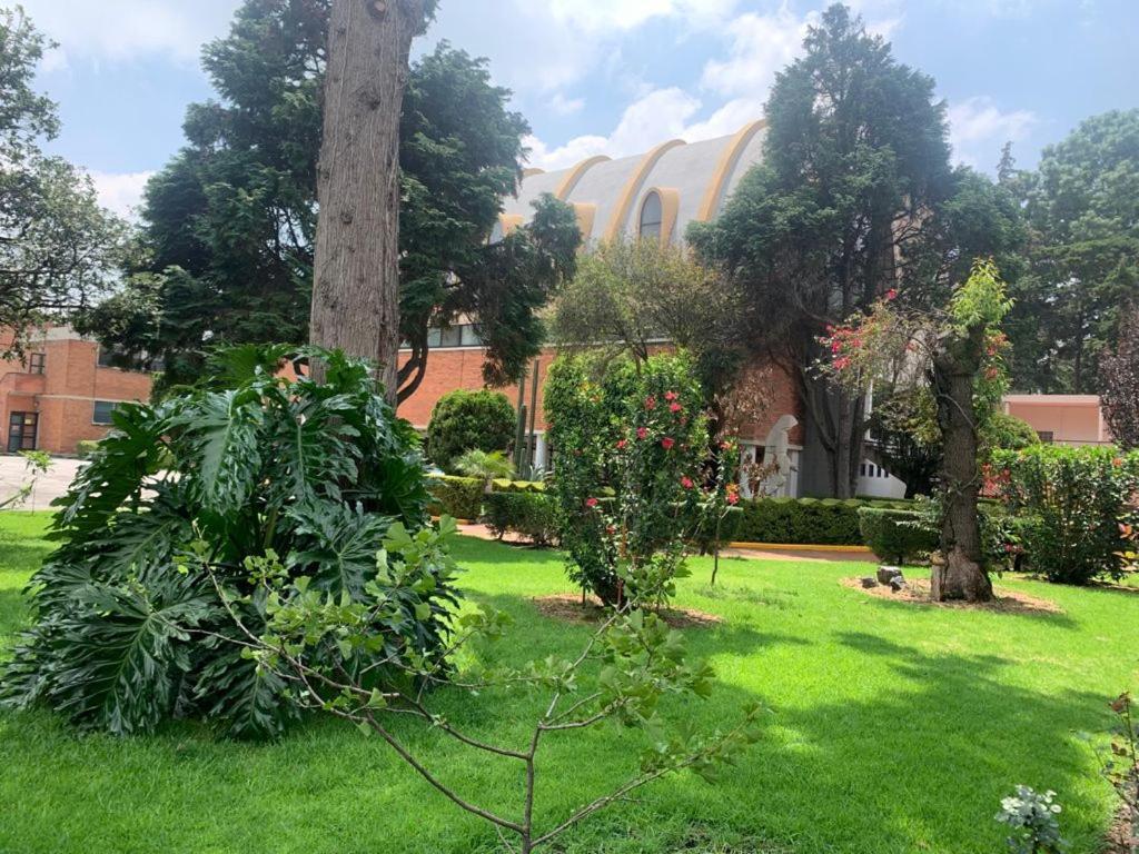 Express Quinta Soledad