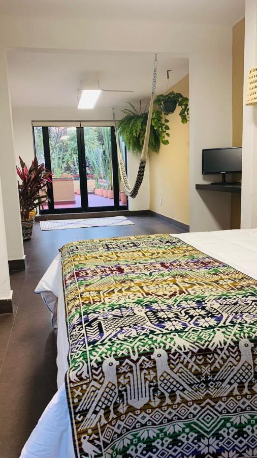 Bed and breakfast The Reef House Condesa