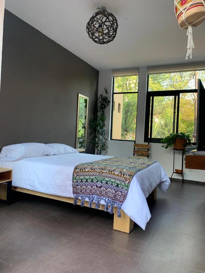 Bed and breakfast The Reef House Condesa