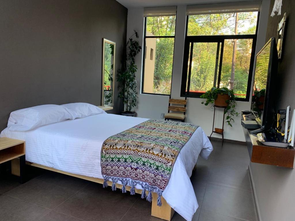 The Reef House Condesa Bed and breakfast *
